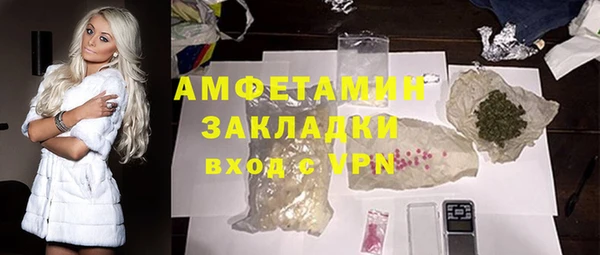 PSILOCYBIN Каменка