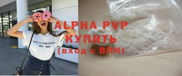 PSILOCYBIN Каменка