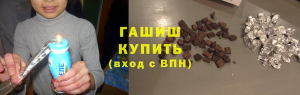 PSILOCYBIN Каменка