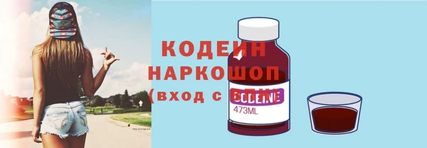 PSILOCYBIN Каменка