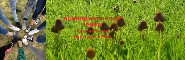 каннабис Каменногорск