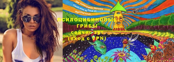 каннабис Каменногорск