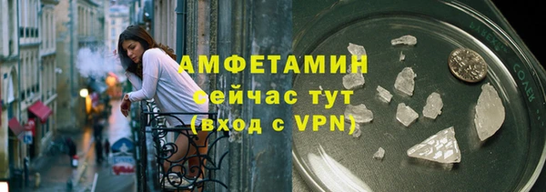 PSILOCYBIN Каменка