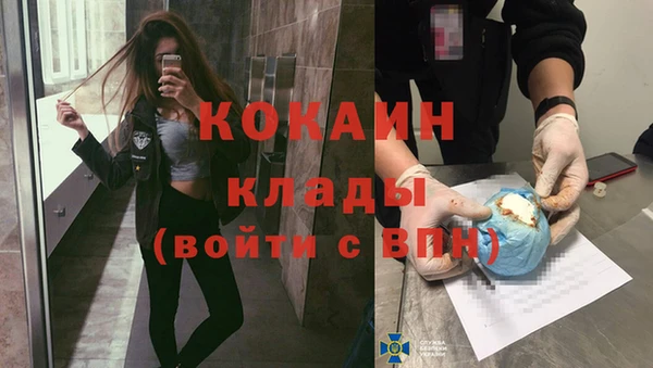 PSILOCYBIN Каменка