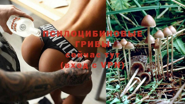 каннабис Каменногорск