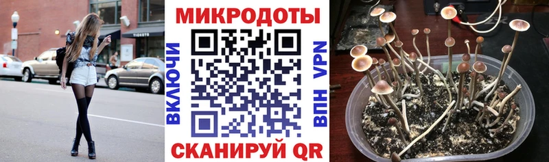 Галлюциногенные грибы мицелий  ОМГ ОМГ маркетплейс  маркетплейс состав  Кодинск 